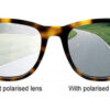 Polarized lens