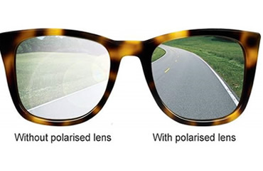 Polarized lens