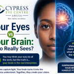 Your Eyes vs Your Brain: Who Really Sees?
